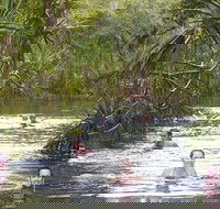Berry Springs - Accommodation Brisbane