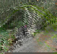 Bridle trail - Accommodation Brisbane