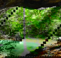 Buderim - Accommodation Brisbane