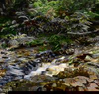 Budderoo National Park - Accommodation Brisbane