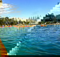 Byron Bay River Nature Kayak Tour - Accommodation Brisbane