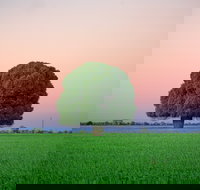 Condamine - Accommodation Brisbane