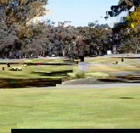 Deniliquin Golf Club - Accommodation Brisbane