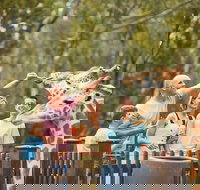 Dubbo - Accommodation Brisbane