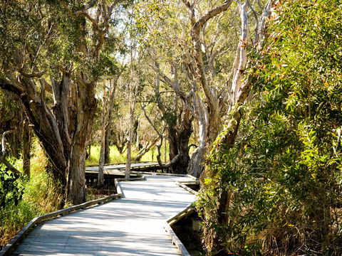 Eagleby Wetlands - Accommodation Brisbane 1