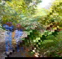Endeavour Fern Gully Walks - Accommodation Brisbane