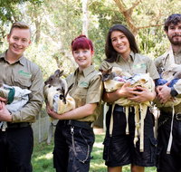 Featherdale Wildlife Park - Accommodation Brisbane