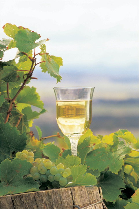 Flavours Of The Porongurup Range Trail - Accommodation Brisbane 0