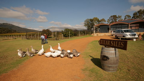 Flavours Of The Porongurup Range Trail - Accommodation Brisbane 2
