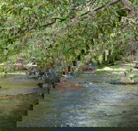 Florence Creek walk - Accommodation Brisbane