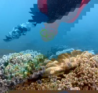 Geoffrey Bay Snorkel Trail - Accommodation Brisbane