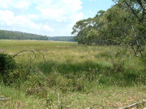 Hume And Hovell Walking Track - Accommodation Brisbane 2