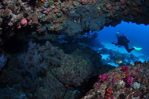 Hutchinson Shoal Dive Site - Accommodation Brisbane 0