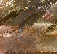 Kholo Gardens Trails - Accommodation Brisbane