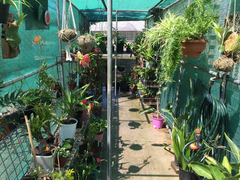 Kilcoy Craft Market - Accommodation Brisbane 1