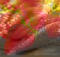 Lambs Valley - Accommodation Brisbane