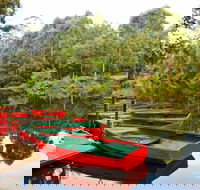 Lane Cove National Park - Accommodation Brisbane