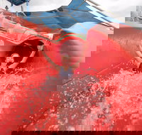 Maitland Aquatic Centre - Accommodation Brisbane