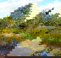 Mansfield Mullum Wetlands - Accommodation Brisbane