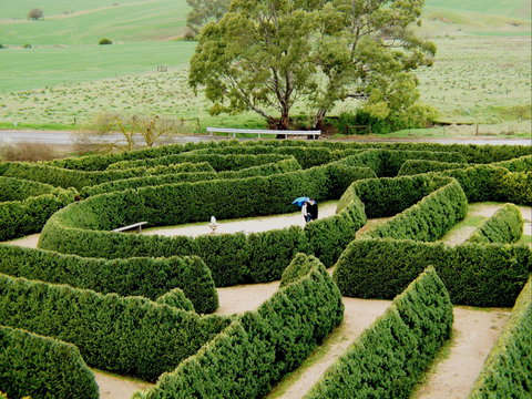 Mintaro Maze - Accommodation Brisbane 1