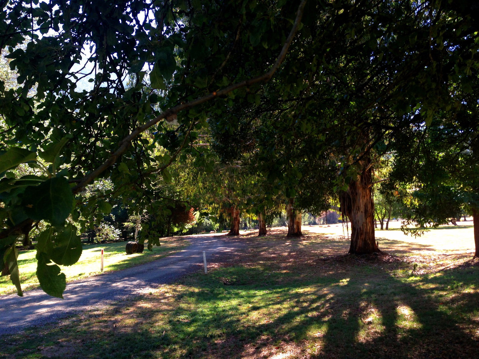 Mirimbah VIC Accommodation Brisbane