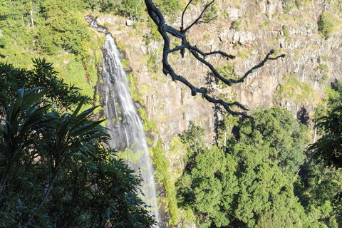 Morans Falls Track, Lamington National Park - Accommodation Brisbane 0