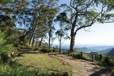 Morans Falls Track, Lamington National Park - Accommodation Brisbane 1