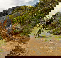 Mountain Biking Trails - Accommodation Brisbane