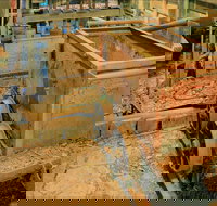 Mountain Maid gold mine - Accommodation Brisbane