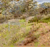 Old Mountain Road Walking Track - Accommodation Brisbane