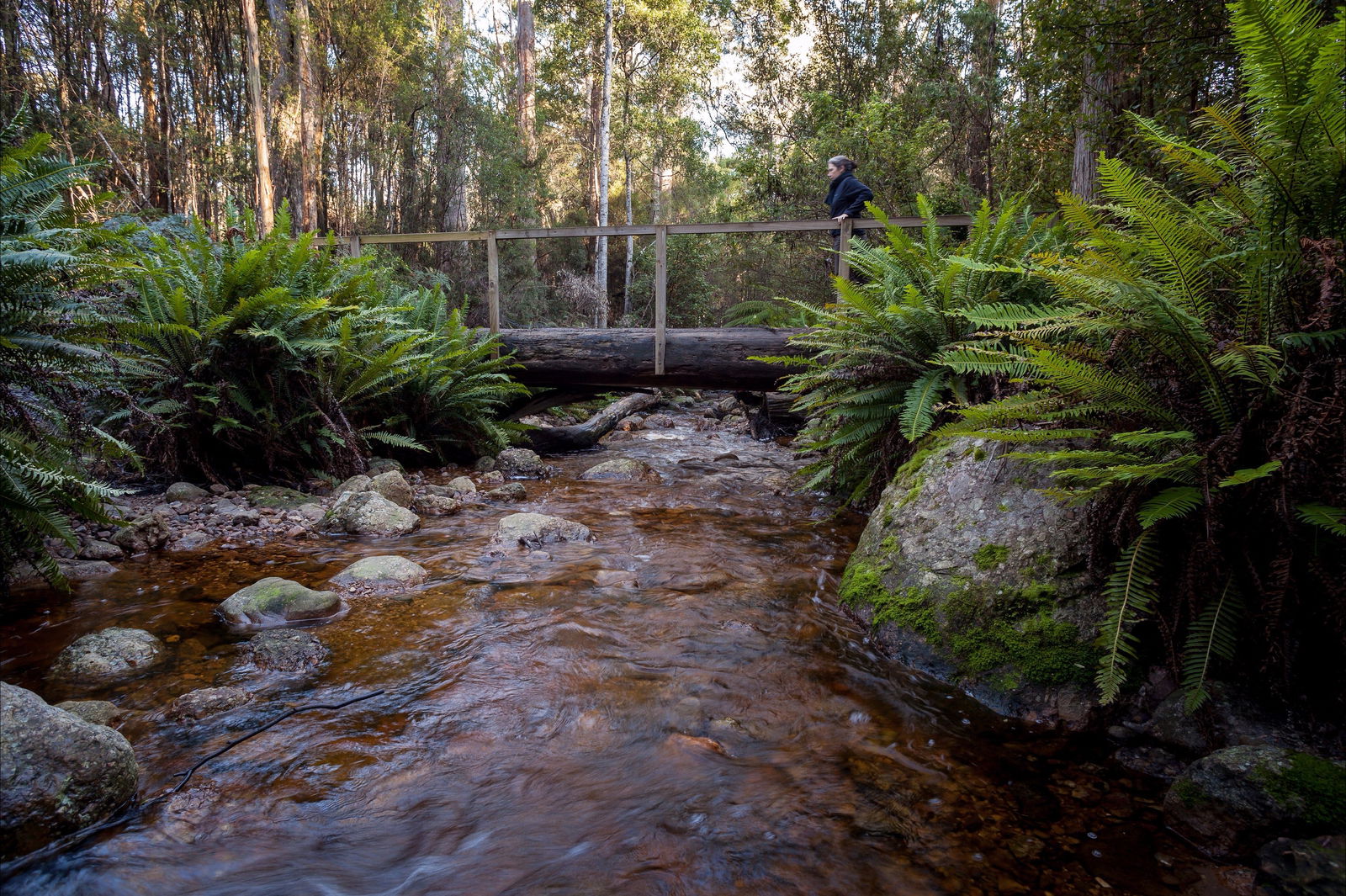 Gowrie Park TAS Accommodation Brisbane