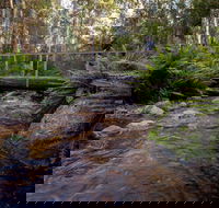 O'Neills Creek picnic reserve - Accommodation Brisbane