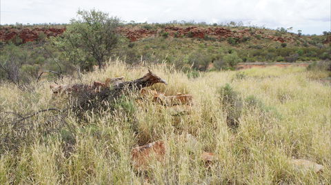 Original Glen Helen Homestead - Accommodation Brisbane 1