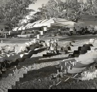 Pioneer Park - Accommodation Brisbane