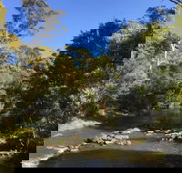 Pipers River Board Walk - Accommodation Brisbane