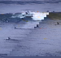 Point Addis Marine National Park - Accommodation Brisbane