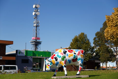 Shepparton Tower - Accommodation Brisbane 1
