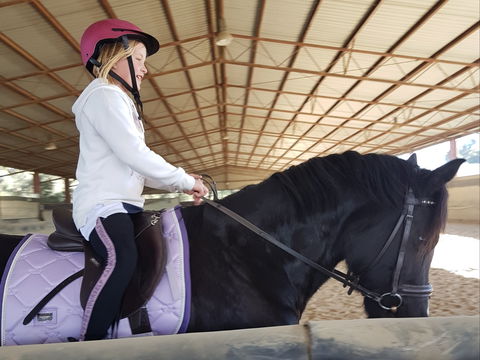 The Equine Club - Accommodation Brisbane 1