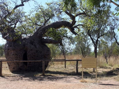Time Walk, Windjana Gorge National Park - Accommodation Brisbane 2