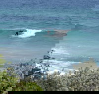 Trigg Island Beach - Accommodation Brisbane