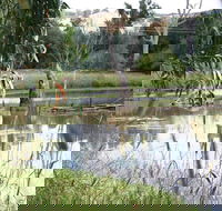 Tumut Wetlands - Accommodation Brisbane