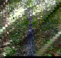 Walker Creek - Accommodation Brisbane