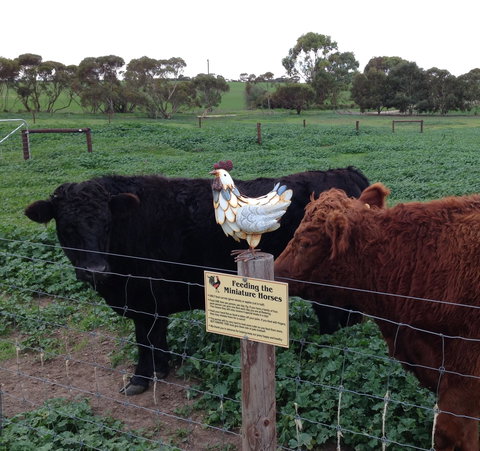 Weetulta - Accommodation Brisbane 1