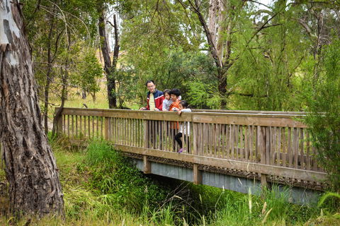 Westerfolds Park - Accommodation Brisbane 0