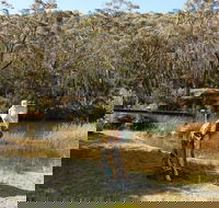 Wild Valley Art Park - Accommodation Brisbane