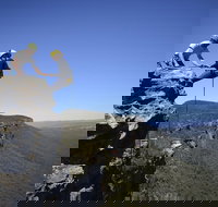 Half-Day Abseiling Adventure in Blue Mountains National Park - Accommodation Brisbane