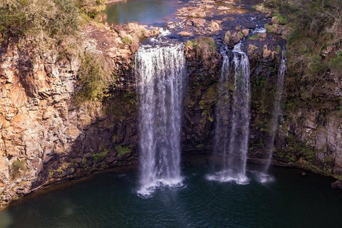 Rainforest & Waterfall Experience - Accommodation Brisbane 1