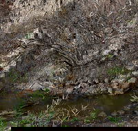 Brisbane Ranges National Park - Accommodation Brisbane