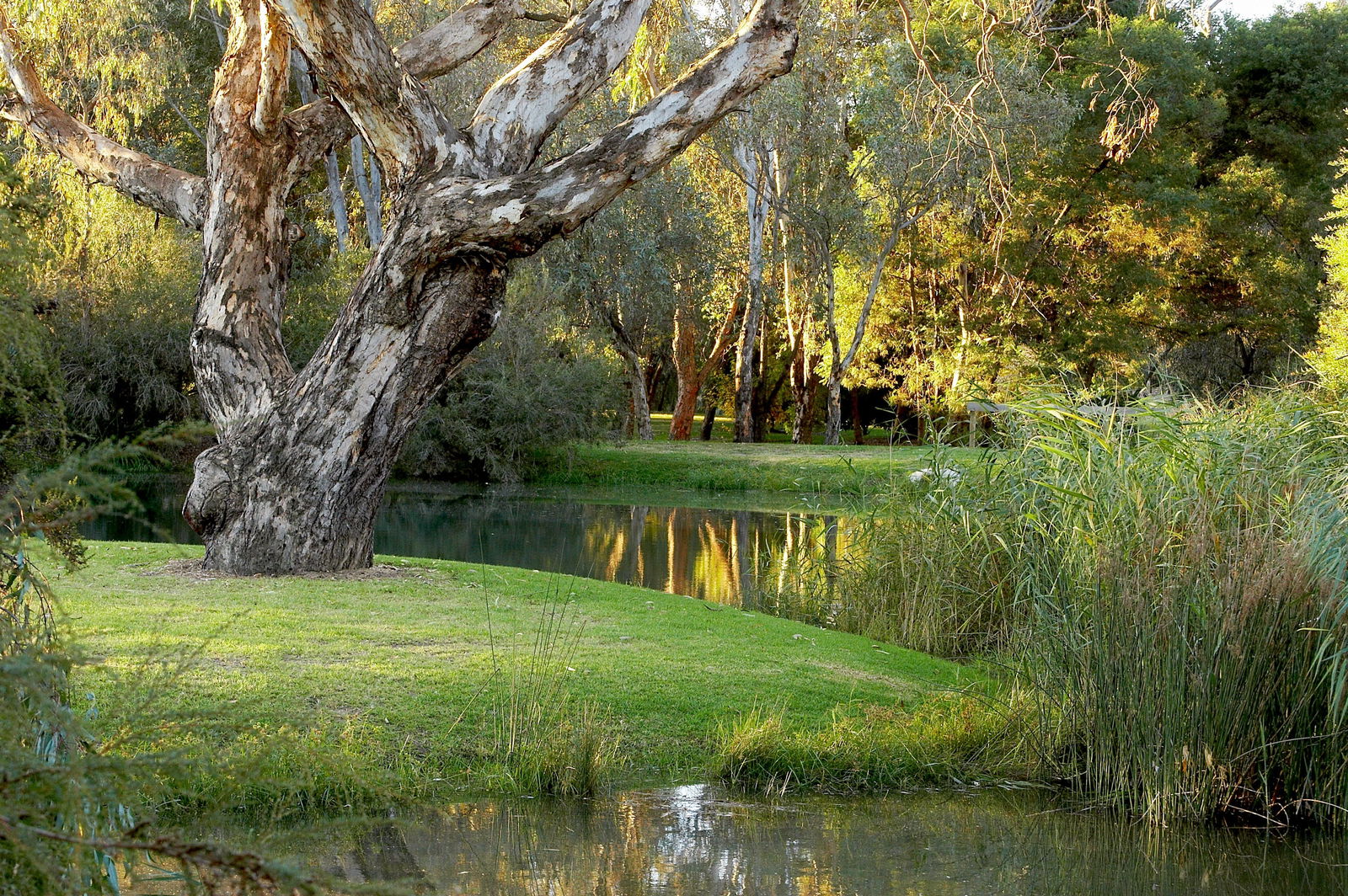 Gateway Island VIC Accommodation Brisbane