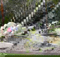 Maroochy Regional Bushland Botanic Garden - Accommodation Brisbane